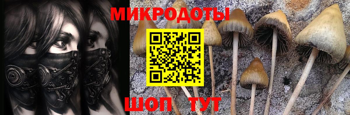 Псилоцибиновые грибы мицелий Реутов